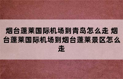 烟台蓬莱国际机场到青岛怎么走 烟台蓬莱国际机场到烟台蓬莱景区怎么走